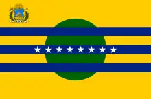 Drapeau de État de Bolívar