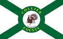 Drapeau de Comté de Collier(Collier County)