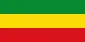 Gouvernement de transition d'Éthiopie