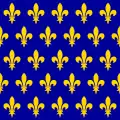 Bannière du Royaume de France