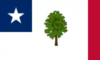 Mississippi, USA (non officiel, 1861-1865)