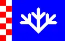 Drapeau de Padise