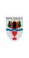 Drapeau de Pincehely