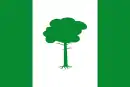 Drapeau de Pinos Puente