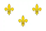 L'ancien drapeau fleurdelisé français, comprenant trois fleurs de lys dorées sur un fond blanc.