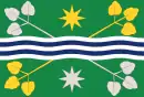 Drapeau de Terre del Reno