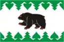 Drapeau de Tourinsk