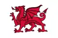 Le dragon gallois (en gallois : y ddraig goch).