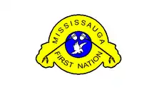 Description de l'image Flag of the Mississauga First Nation.PNG.