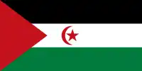 Drapeau du Sahara occidental depuis 1976.