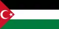 Drapeau de résistance turco-palestinienne envers Israël