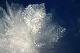 Accumulation de cristaux de givre de surface.