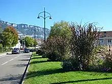 vue en couleurs sur un massif fleuri et une route.