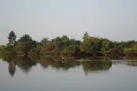 Fleuve Okpara