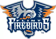 Description de l'image Flint Firebirds.png.