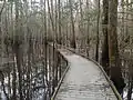 Passerelle en bois pour les visiteurs