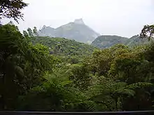 Vue du parc national de la Tijuca, qui occupe une partie du quartier.