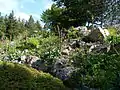 Flore des escarpements du Hohneck-Jardin d'altitude du Haut Chitelet.