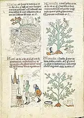 Page de manuscrit divisée en quatre parties illustrées de scènes figurées surmontées de quatre ou cinq lignes de texte.