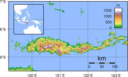 Carte topographique de Florès.