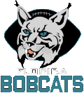 Florida bobcats 1996-1998