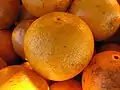 La Floride est le premier producteur national d'oranges.