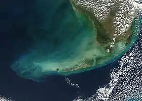 Image satellite de la baie de Floride (à droite)  délimitée par une partie des Keys au sud et la côte méridionale de la péninsule de Floride au nord.