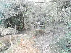 La rivière au niveau de l'abbaye de Florièyes