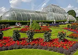 Le palmarium (palm house) des Jardins botaniques royaux de Kew, Londres, 1848.