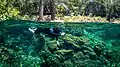 Bonito dans le Mato Grosso do Sul