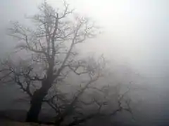 Brouillard orographique (Grèce).