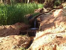 Un petit cours d'eau canalisé