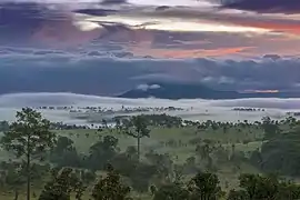 Jour brumeux, parc national de Thung Salaeng Luang.