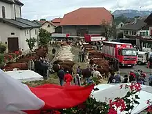 La photographie couleur présente une vue en hauteur de la foire. Des bovins de race abondance, montbéliarde et charolaise sont alignés.