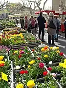 Foire aux fleurs