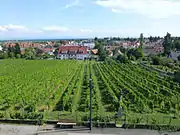 Panorama depuis les fenêtres du musée