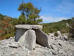 Dolmen no 13 de Font Méjanne.