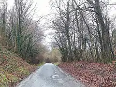 Bosquet, entre Fontaine-Lavaganne et Haute-Fontaine.