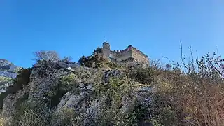 Le château vu depuis le chemin d'accès.