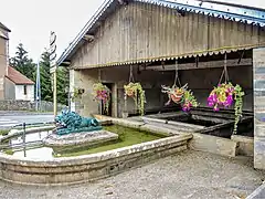 Fontaine-lavoir-abreuvoir au lion.