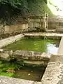 Fontaine et lavoir Saint-Vivien.