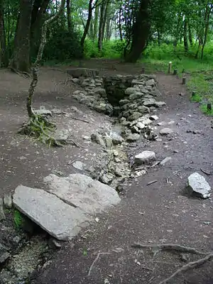 Une fontaine qui jaillit dans la forêt, avec des parties couvertes.