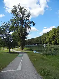 Fontet, Gironde, piste cyclable du canal