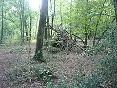 Cabane ou organisation d'un débardage ?