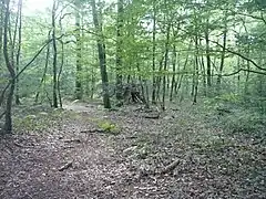 Cabane ou organisation d'un débardage ?