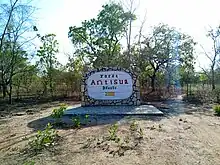 Forêt Antisua dans la commune de Pèrèrè