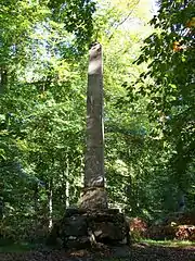 Vue d'un obélisque dans une forêt.