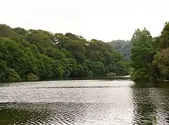 Un des lacs de la forêt de Mervent-Vouvant