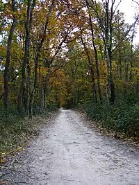 Image illustrative de l’article Forêt de Bouconne