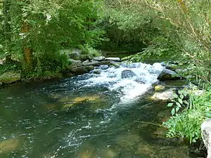 La cascade du Kalbsgiessen.